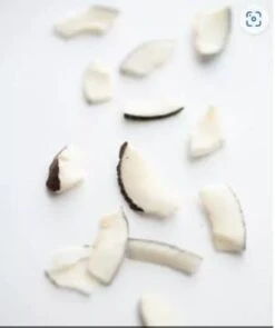 SNACK COCONUT CRISPS BIO