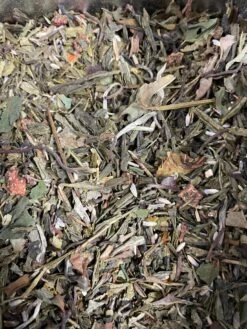 THE ETOILES FILANTES