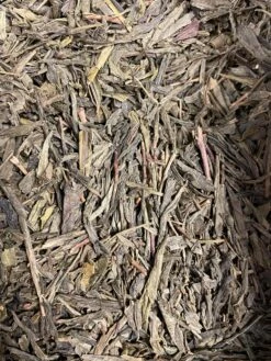 THE CHINA BANCHA BIO