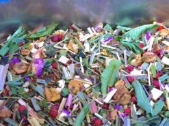 THE TRESOR D’AFRIQUE