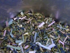 THE SOUS LES CITRONNIERS