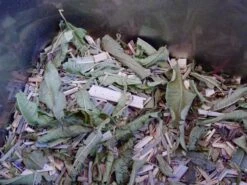 TISANE DOUCEUR PROVENCALE