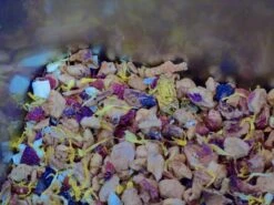 TISANE ELIXIR EXOTIQUE