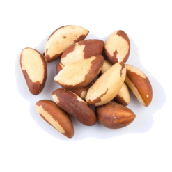 NOIX DU BRESIL (= Amazonie) DECORTIQUEE