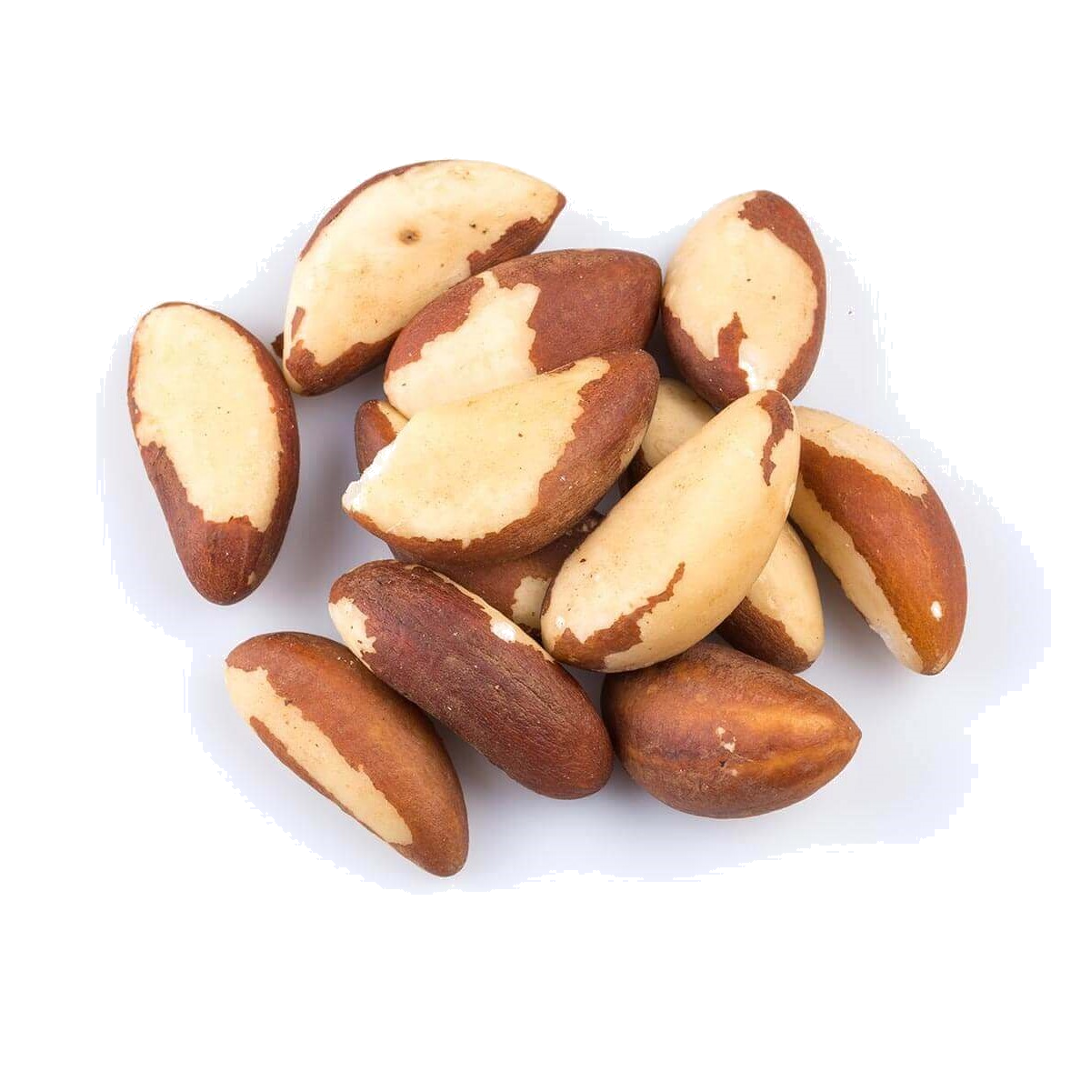 NOIX DU BRESIL (= Amazonie) DECORTIQUEE