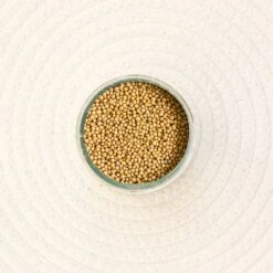 MOUTARDE JAUNE GRAINES BIO