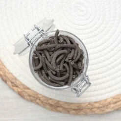 PATES MACARONI SARRASIN