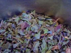 THE BALADE A MARRAKECH